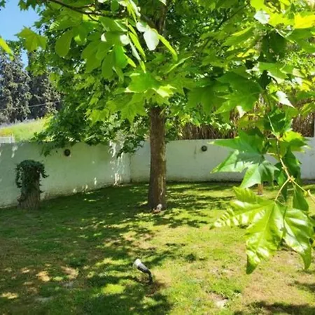 φασκόμηλο Studio έως 2 άτομα * Paliouri