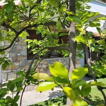 φασκόμηλο Studio έως 2 άτομα Apartment