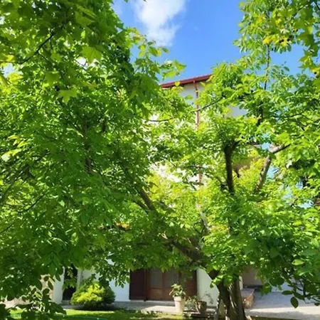 φασκόμηλο Studio έως 2 άτομα * Paliouri