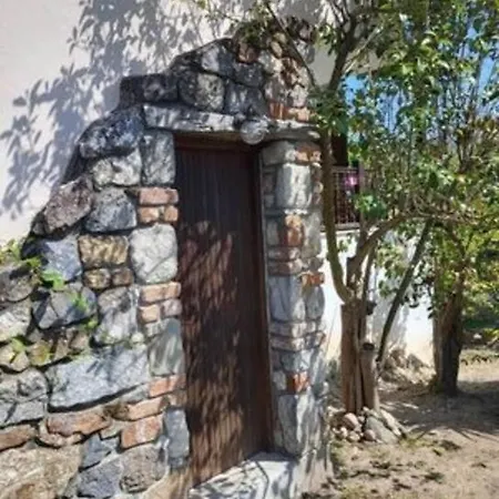 φασκόμηλο Studio έως 2 άτομα *
